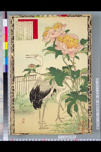 Bailei Flower-Bird Picture Album: Peony and Stork