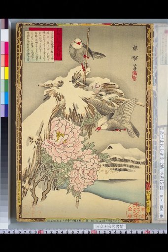 Bailei Flower-Bird Picture Album: Island Robin and Peony