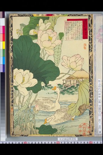 Bailei Flower-Bird Picture Album: Lotus and Goose