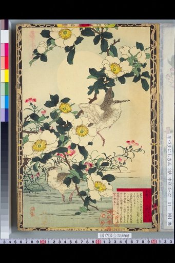 Bailei Flower-Bird Picture Album: Winterberry and Moorhen
