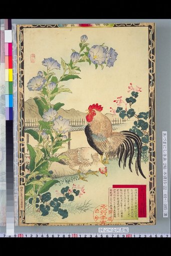 Bailei Flower-Bird Picture Album: Bellflower and Chicken