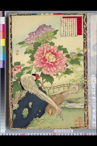 Bailei Flower-Bird Picture Album: Peony and White [Kan]