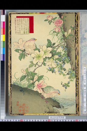 Bailei Flower-Bird Picture Album: Azalea and [Yamabato]