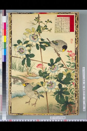 Bailei Flower-Bird Picture Album: Toadflax and Mulberry Bird