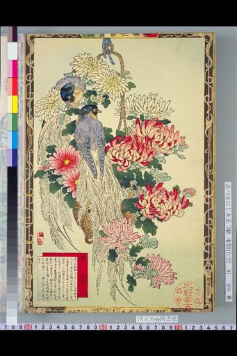 Bailei Flower-Bird Picture Album: Chrysanthemum and Wind Bird