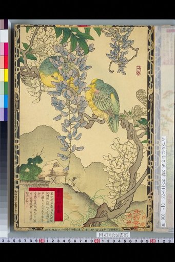 Murei Flower and Bird Picture Book: Wisteria and [Wood Pigeon]