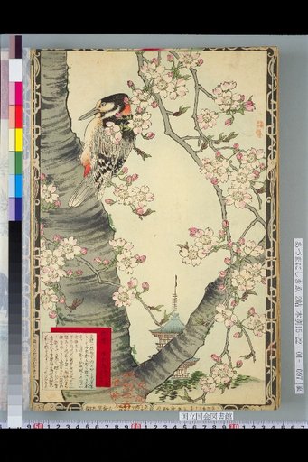 Murei Flower and Bird Picture Book: Weeping Cherry and Woodpecker