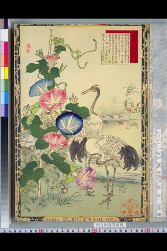 Murei Flower and Bird Picture Book: Morning Glory and Crane