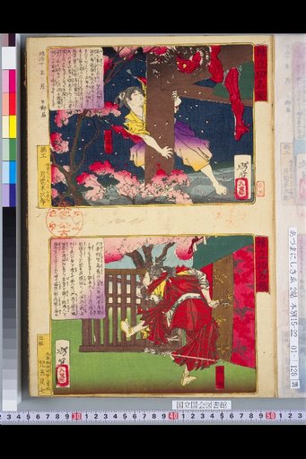 Mirror of Merit and Fame: Shiragiku-maru / Tameyori