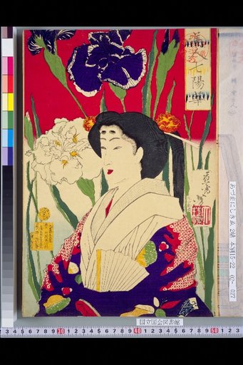 Seven Beauties of the Seven Days