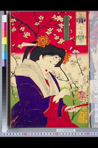 Seven Beauties of the Seven Days Senior 5th Rank Nishinotoin Nariko