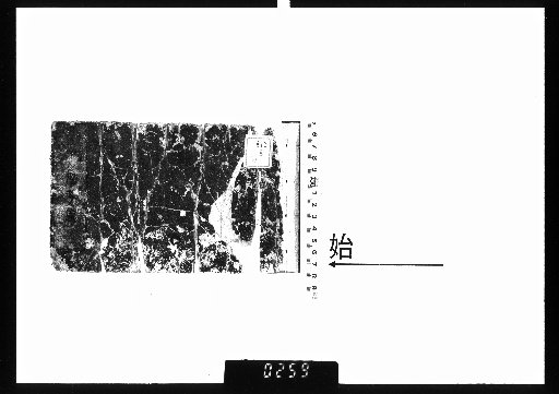 True Cursive and Regular Japanese Jade Dictionary, Vol. 5