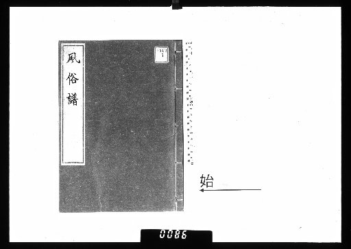 Fuzoku Zu