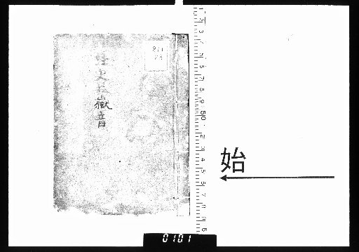 Sounds of Sutra, History, and the Fields