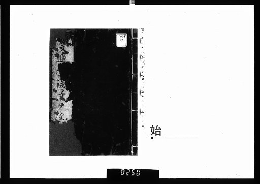 Female Literary Correspondence Sea