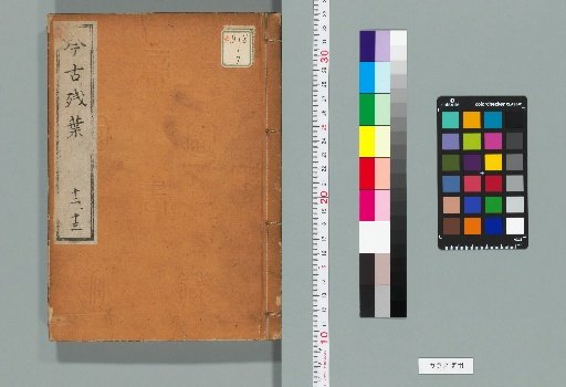 Fragments of Ancient and Modern Leaves, 12-13