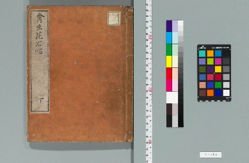 Album of Birds, Insects, Flowers, and Stones, 3 Volumes [3]