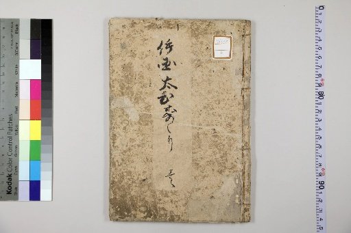 The Great Flying Eagle of Izu [1]