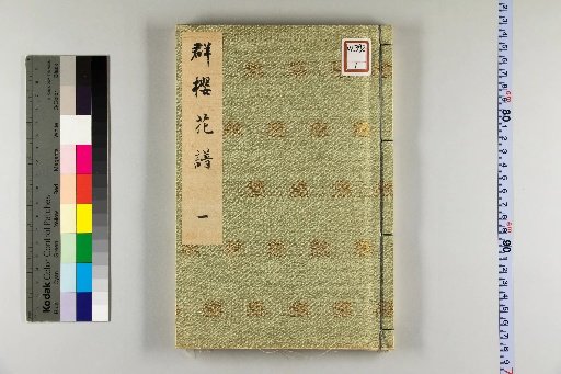 Group of Cherry Blossoms Flower Catalogue [1]