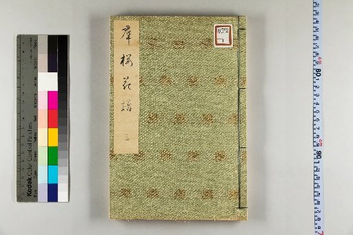 Group of Cherry Blossoms Flower Catalogue [3]