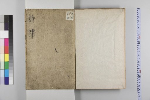 Shiritsu