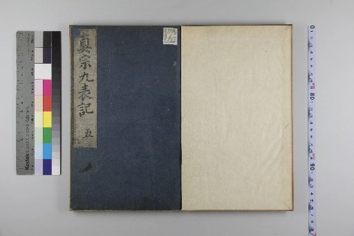 Nine Representations of True Sect, Volume 6, Part 5