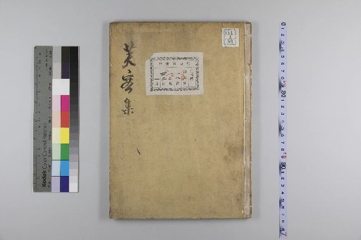Collection of Lotus Flowers