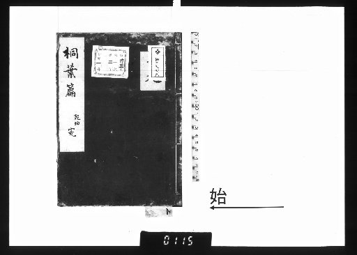 Chapter of Paulownia Leaves, 2 volumes