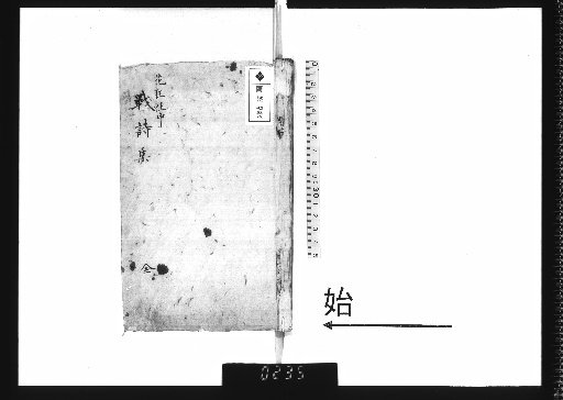Collection of War Poems