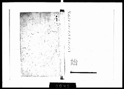 [I] Remains of Master Arashi