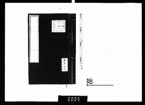 Collections from the Banks of Dongshan Lake