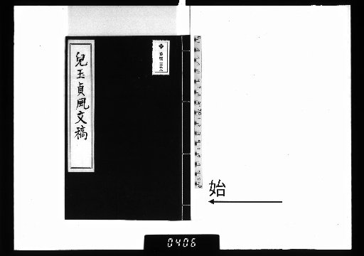 The Literary Works of Tamayama Teifū