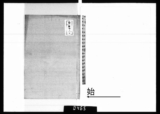 Apricot Rain Society Manuscripts