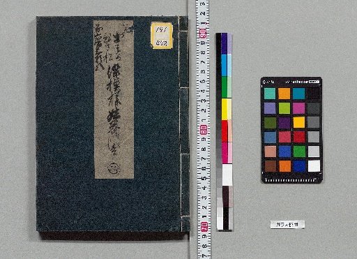 Dye Patterns: Sister and Brother Gate Pine