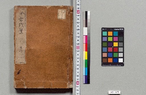 Remnants of Ancient and Modern Leaves: Catalogue-1