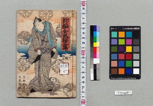 New Edition of Jin Ping Mei: 10 sets, 80 vols. [11]