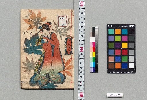 Kan'yoku Hakkenden [29]