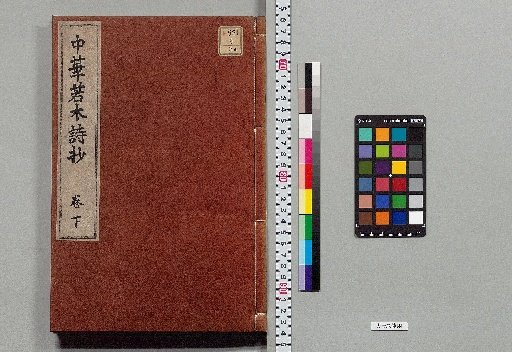 Chinese Young Tree Poem Anthology, 3 Volumes [3]