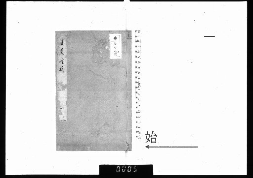 Golden Orchid: Drafts, 2 volumes [1]
