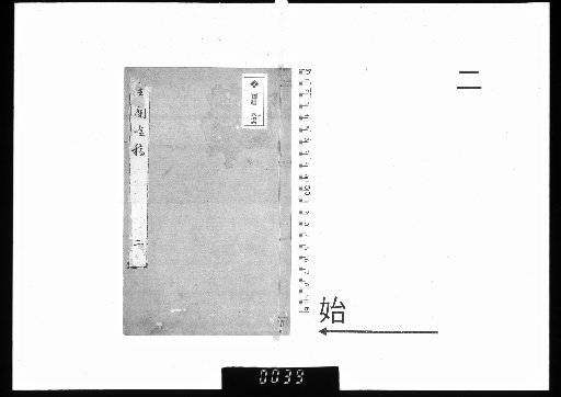 Golden Orchid: Drafts, 2 volumes [2]