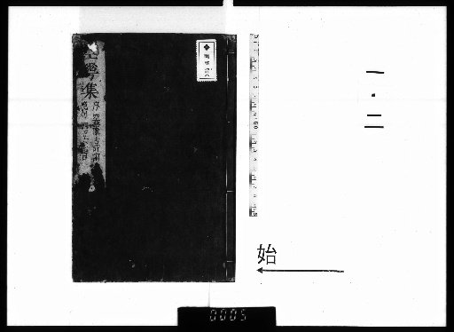 Collection of Empty Flowers, 20 volumes 1–2