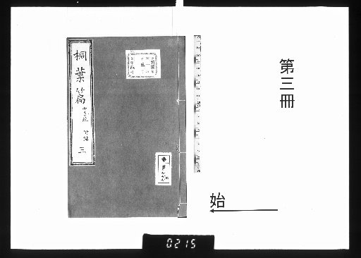 Chapters of Paulownia Leaves, Vol. 4 [3]