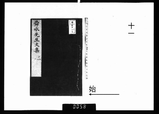 The Collected Works of Master Shunsui, 28 Volumes with 1 Volume of Appendix 11