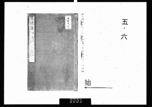 Collection of Double Osmanthus, 6 volumes, 5-6