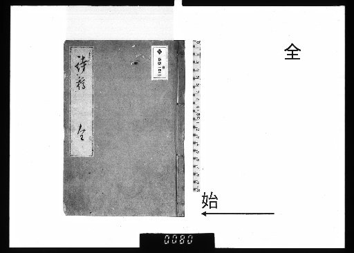 Poetic Drafts: Year of the Snake (Kinoe-Toru)