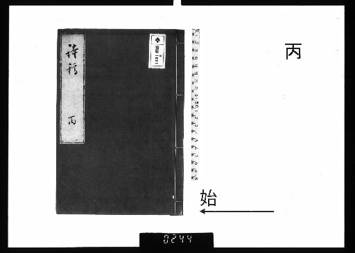 Poetic Drafts: Year of the Rabbit (Mizunoe-Mi)