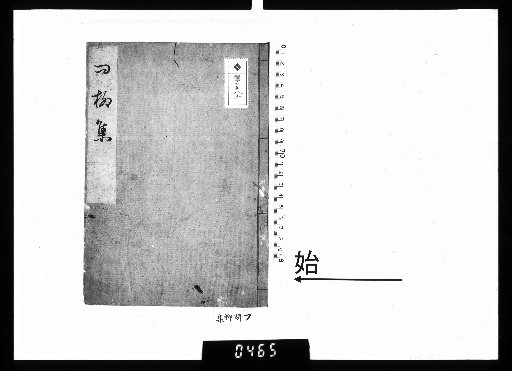Collection of Willow Questions