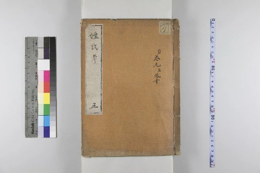 Examination of Surnames, 36 Volumes [5]
