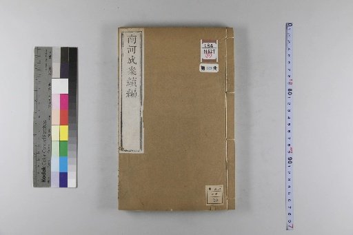 Nanhe Cheng'an, 54 volumes, 4 volumes of preface, 1 volume of index, 106 volumes of continuation, and 38 volumes of further continuation [69]