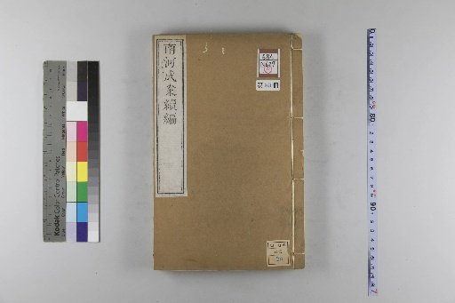 Nanhe Cheng'an, 54 volumes, 4 volumes of preface, 1 volume of index, 106 volumes of continuation, and 38 volumes of further continuation [83]